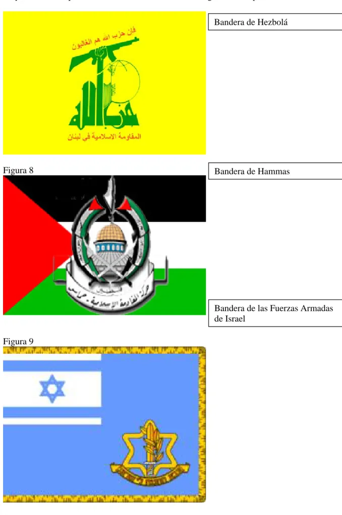 Figura 8  Bandera de Hammas  