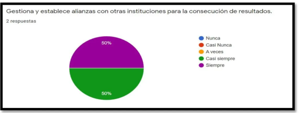 Figura 4: Alianzas Institucionales 