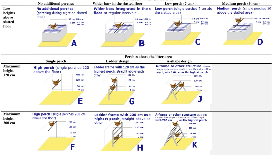 Table 1:   Scenarios to elicit perching preferences (figures were revised after the elicitation process, reflecting the reasoning of the hearing experts)  Perches above the slatted floor 