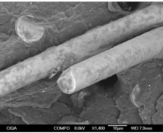 Figura 6.10 Micrografía de SEM del nanocompuesto G30-A 25 -C 4 