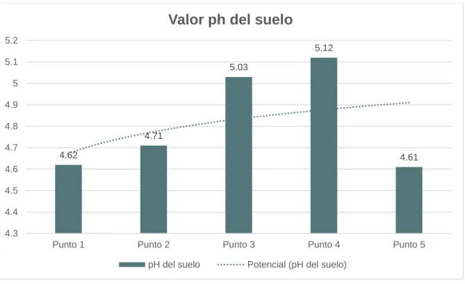 Ilustración 9. Gráfico acidez del suelo 