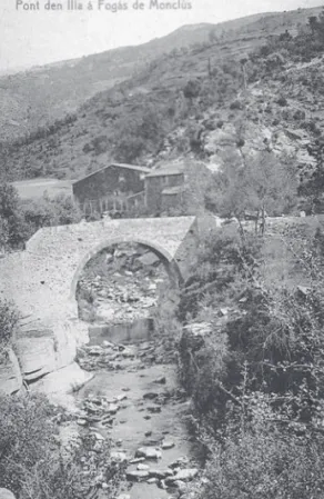 Foto MEMGA