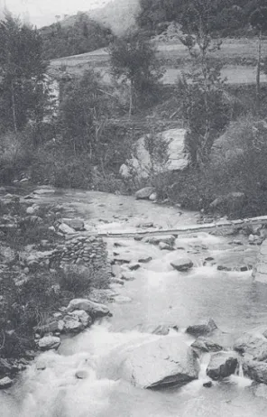 Foto MEMGA