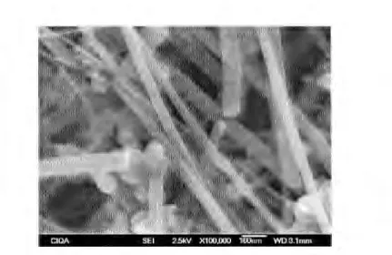 Figura 6.7.  Micrografía de FE SEM de  nanofibras  modificadas con  HN03 al  70%  vol.,  300 W  y  5 min