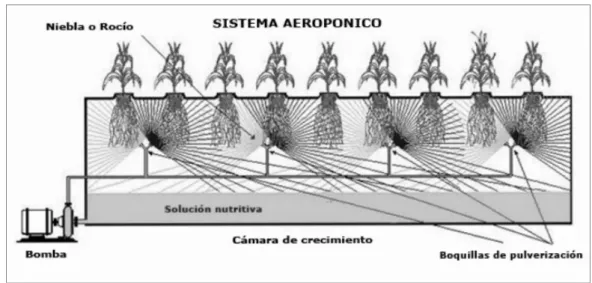 Figura 3. Diagrama del sistema aeropónico 
