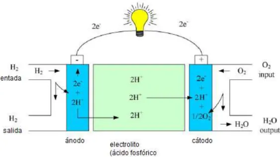 Figura 5 Celda de PAFC y sus principios de operación. 
