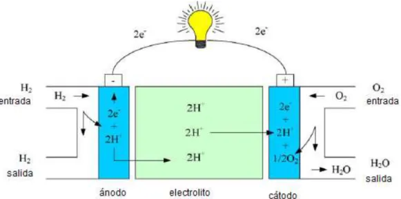 Figura 7 Celda PEMFC y su funcionamiento básico. 