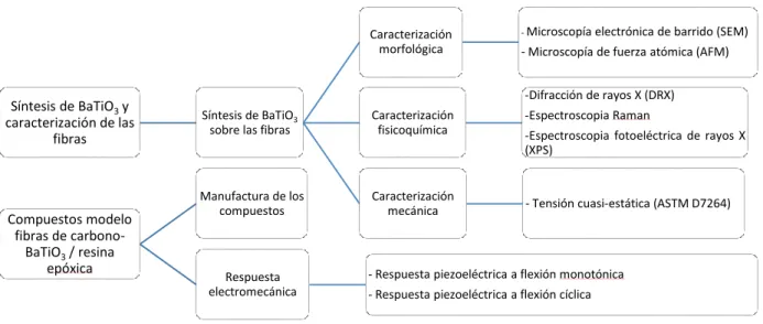 Figura 10. Plan de trabajo general 