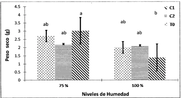 Figura 5.2. Efecto de la interacción de los niveles de riego en el suelo, aplicando  complejos de PAA-Quitosán vía foliar sobre peso seco de las plantas de melón (ev
