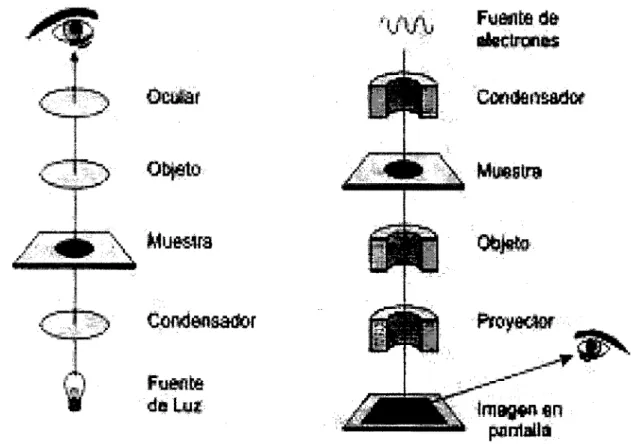 Figura 4. Sistema óptico 