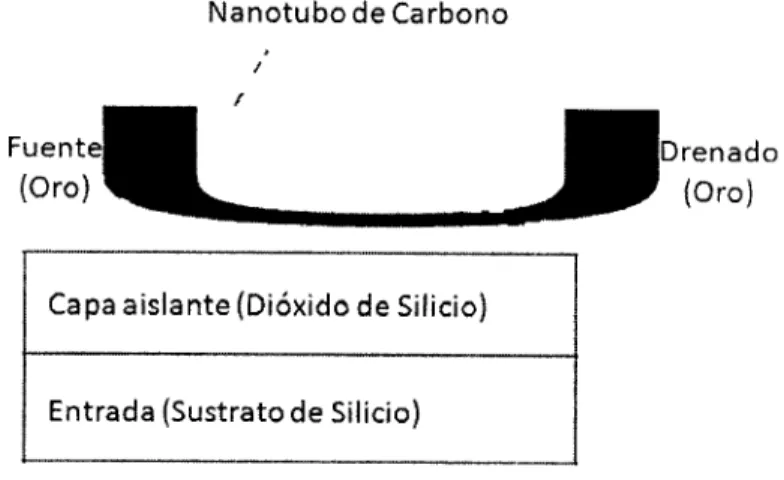Fig. 2.9 Esquema de un transistor hecho de nanotubos de carbono [40]. 