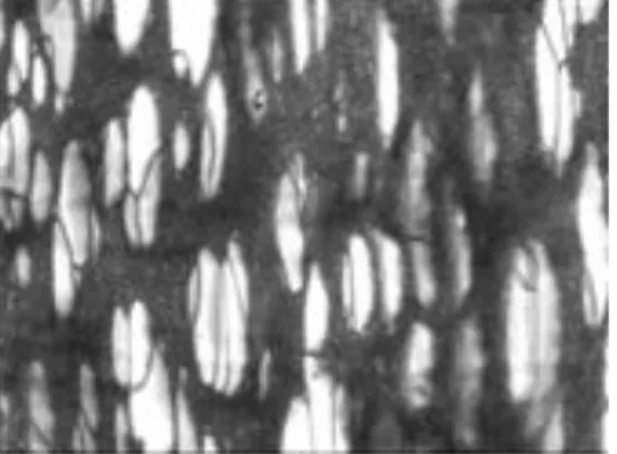 Figura 3. Micrografía por TEM correspondiente a la etapa de separación de fases  en un HIPS sintetizado utilizando un copolímero SB como hule precursor (intervalo 