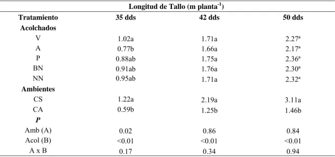 Cuadro 7. Comparación de medias para longitud de tallo en la interacción campo abierto y casa sombra en el  cultivo de melón en acolchado plástico de diversos colores, ciclo primavera-verano