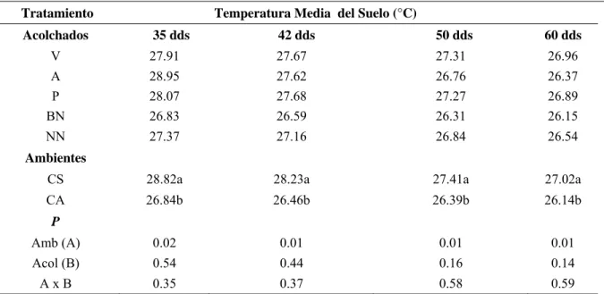 Cuadro  9. Comparación de medias para temperatura media en la interacción campo abierto y casa  sombra en el cultivo de melón en acolchado plástico de diversos colores, ciclo primavera-verano