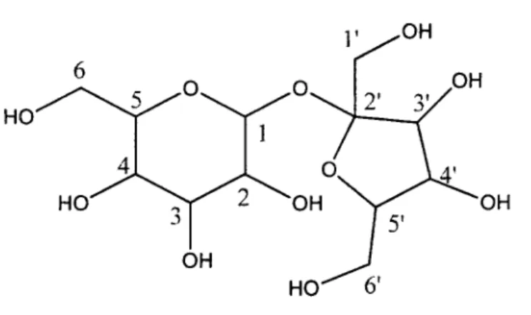 Figura 4.  Estructura molecular de la sacarosa. 