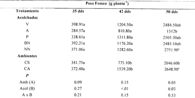 Cuadro 4.  Comparación de medias para peso fresco de la planta en la interacción campo abierto y casa sombra  en el cultivo de melón en acolchado plástico de diversos colores, ciclo primavera-verano