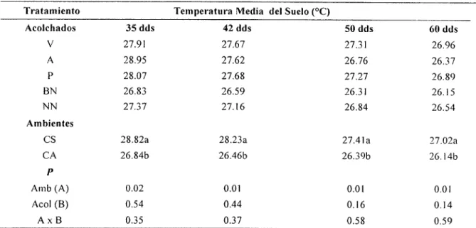 Cuadro 9.  Comparación de medias para temperatura media en la interacción campo abierto y casa  sombra en el cultivo de melón en acolchado plástico de diversos colores, ciclo primavera-verano