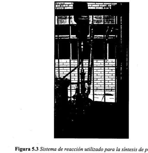 Figura 5.3 Sistema de reacción utilizado para la síntesis de polímeros. 