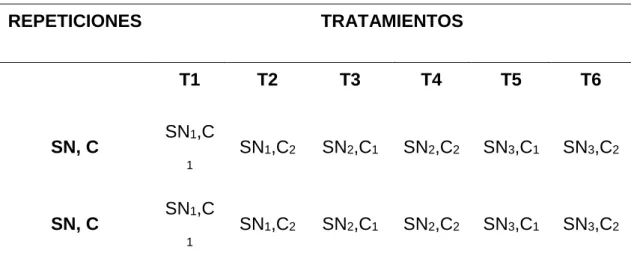 Figura 1. Esquema propuesto de diseño experimental. 