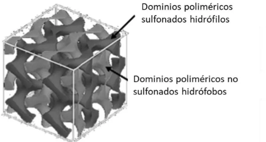 Figura 2. Morfología ideal de PEM [2] 