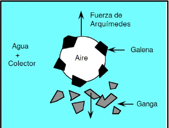 Figura 1. Principio de la separación por flotación 