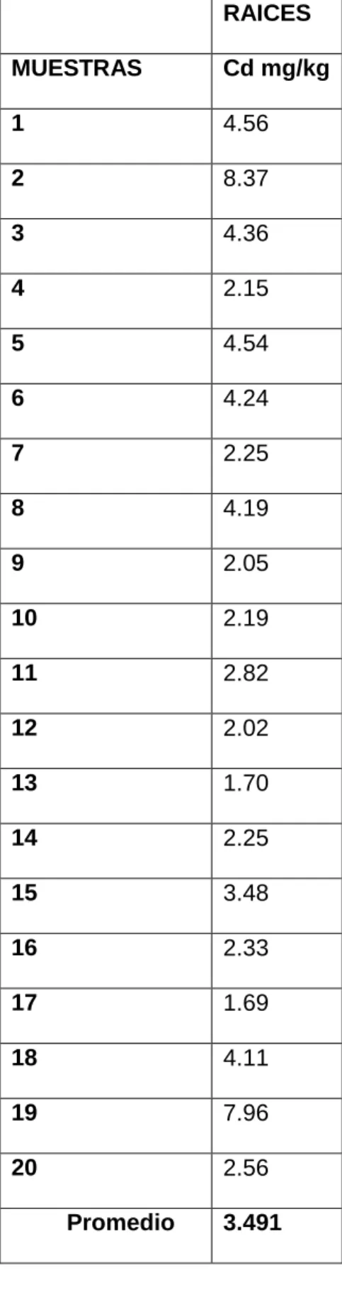 Tabla 10. Niveles de Cd en las muestras de las raíces. 