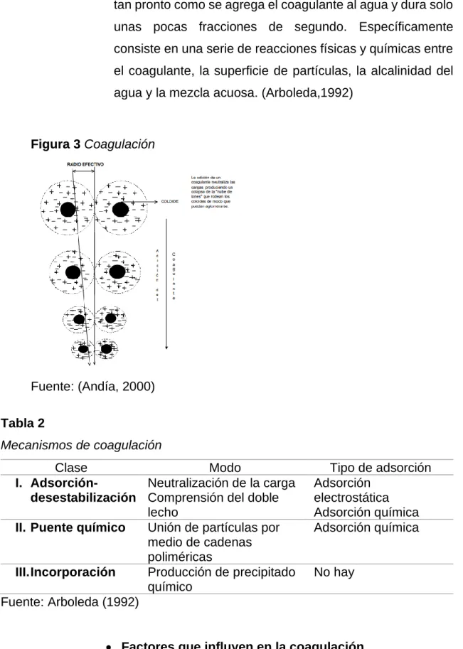 Figura 3 Coagulación 