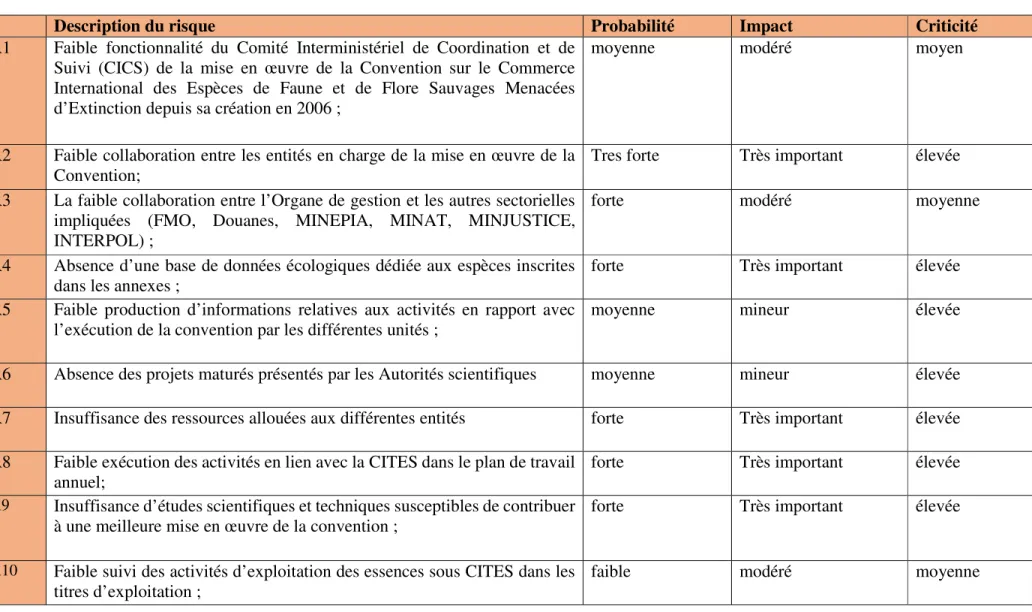 Tableau 3 : Cartographie des risques 