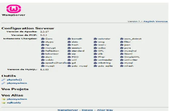 Figura 5. Default localhost WAMP Server 