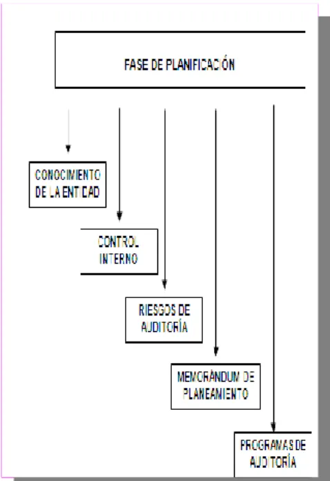 GRÁFICO Nº 2.4 