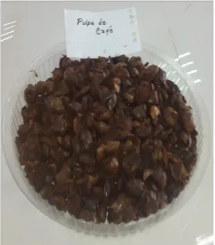 Foto 4   Pulpa de café 
