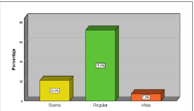 Figura 9. Liderazgo directivo 