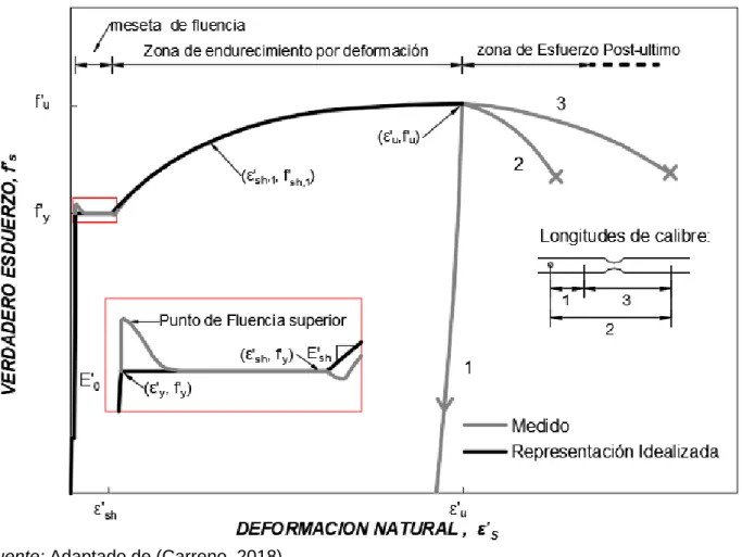 Figura II-16: Curva Backbone para el modelo de Dodd y Restrepo (1995). 
