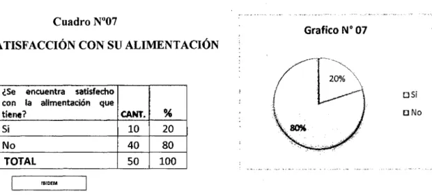 Gráfico N° 08  Cuadro N°  08 