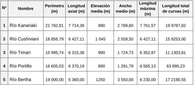 Cuadro 02: Caracterización física de los afluentes de la microcuenca  