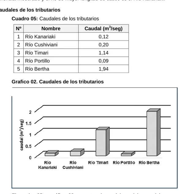 Cuadro 05: Caudales de los tributarios 