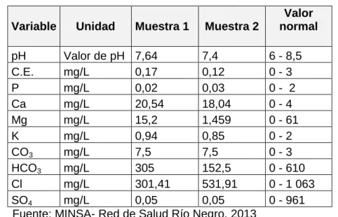 Cuadro 07. Análisis químico del agua de la microcuenca. 