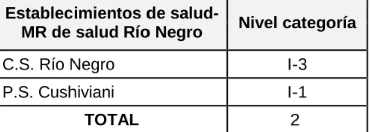 Cuadro 13: Establecimientos de salud de la micro red Río Negro   Establecimientos de salud- 