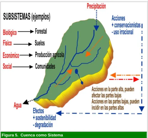 Figura 5.  Cuenca como Sistema 