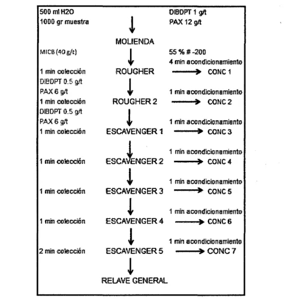 Fig. 4 Diagrama de flotación estándar. 