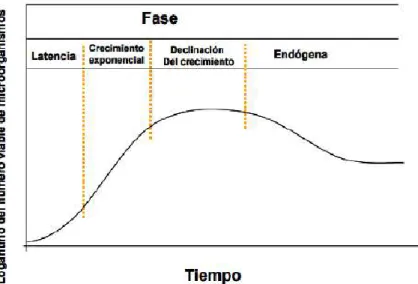Figura 1: Curva de crecimiento bacteriano 