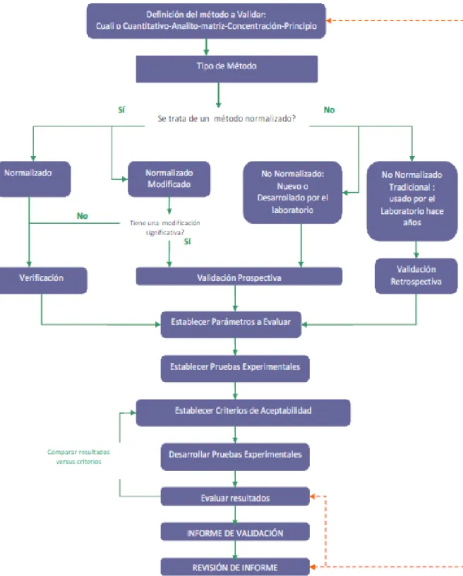 Figura Nº II-6 Etapas del proceso de validación 