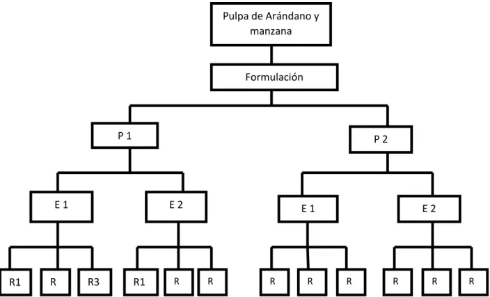Figura 7:   Diseño Experimental Propuesto Formulación 