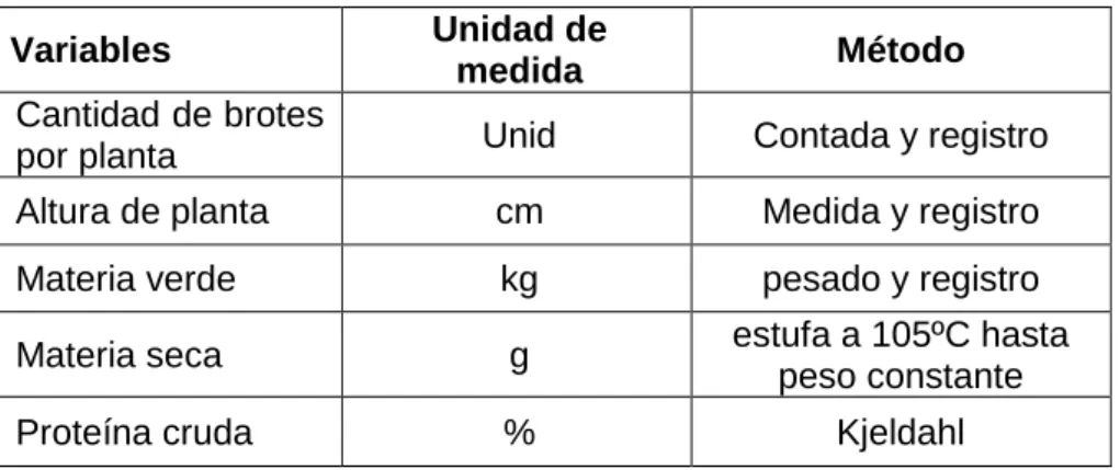 Cuadro 01: Variables evaluados 