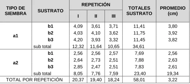 Tabla 04: Interacción tipo de propagación (A) por tipo de sustrato (B)  a los 3 meses