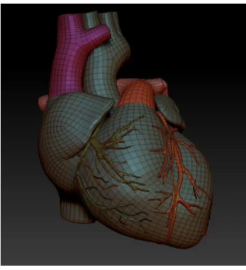 Figura 7. Modelo utilizado para representar el corazón, sin textura [39]. 