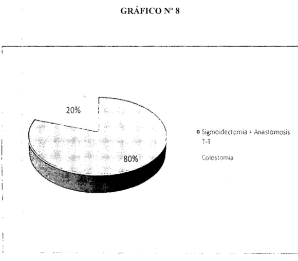 GRÁFICO No  8 