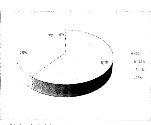 GRÁFICO No  11 
