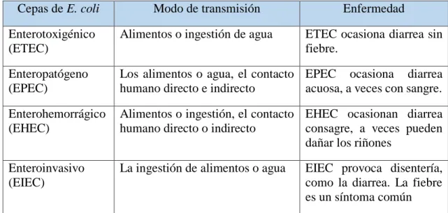 Tabla 4: Cepas de E. coli 