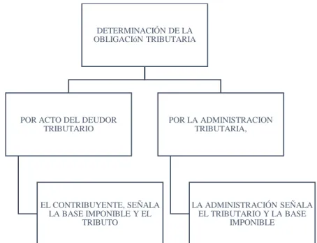 Figura 11: Determinación de la Obligación Tributaria  Fuente: Elaboración propia 